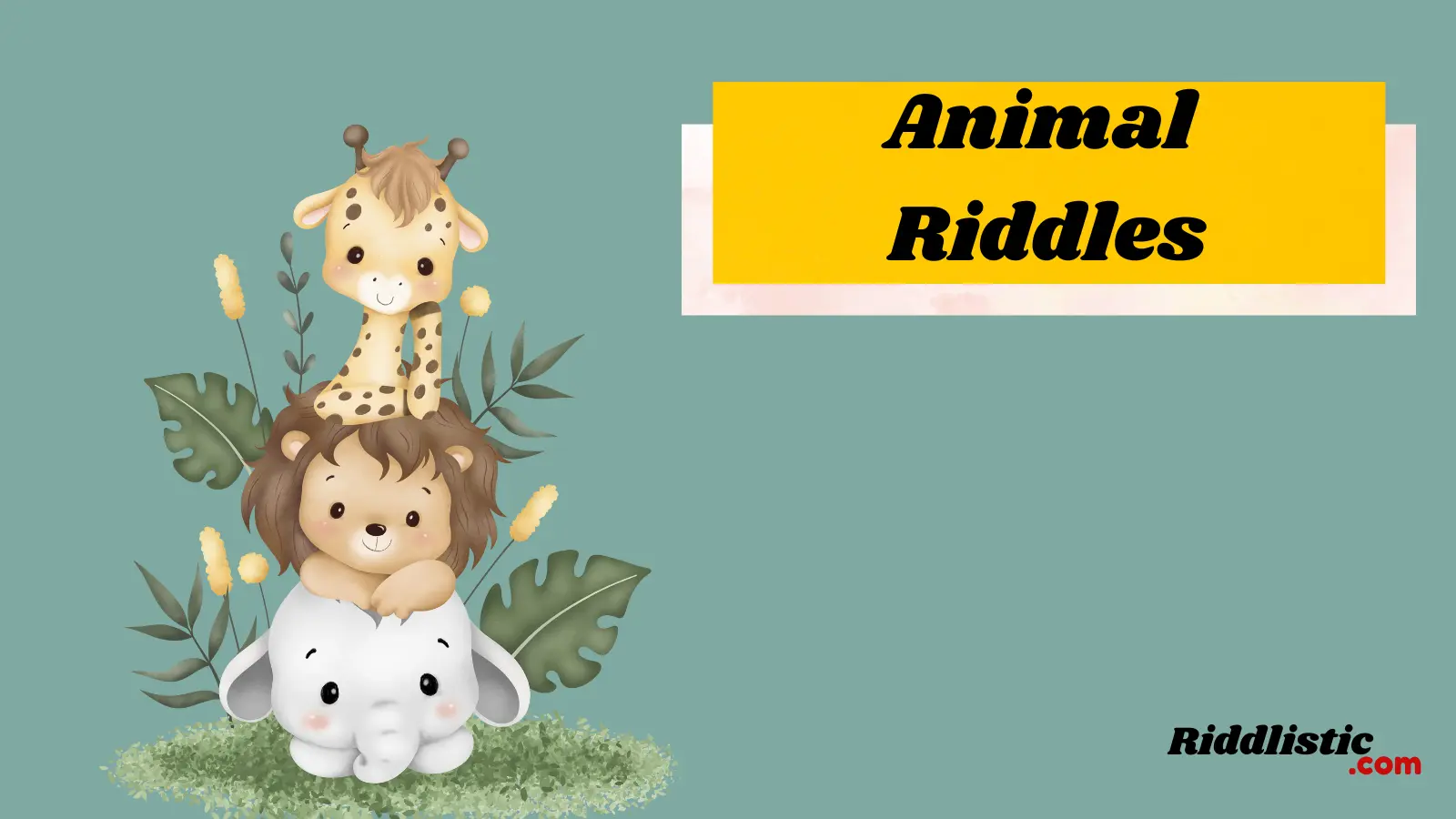 Animal Riddles