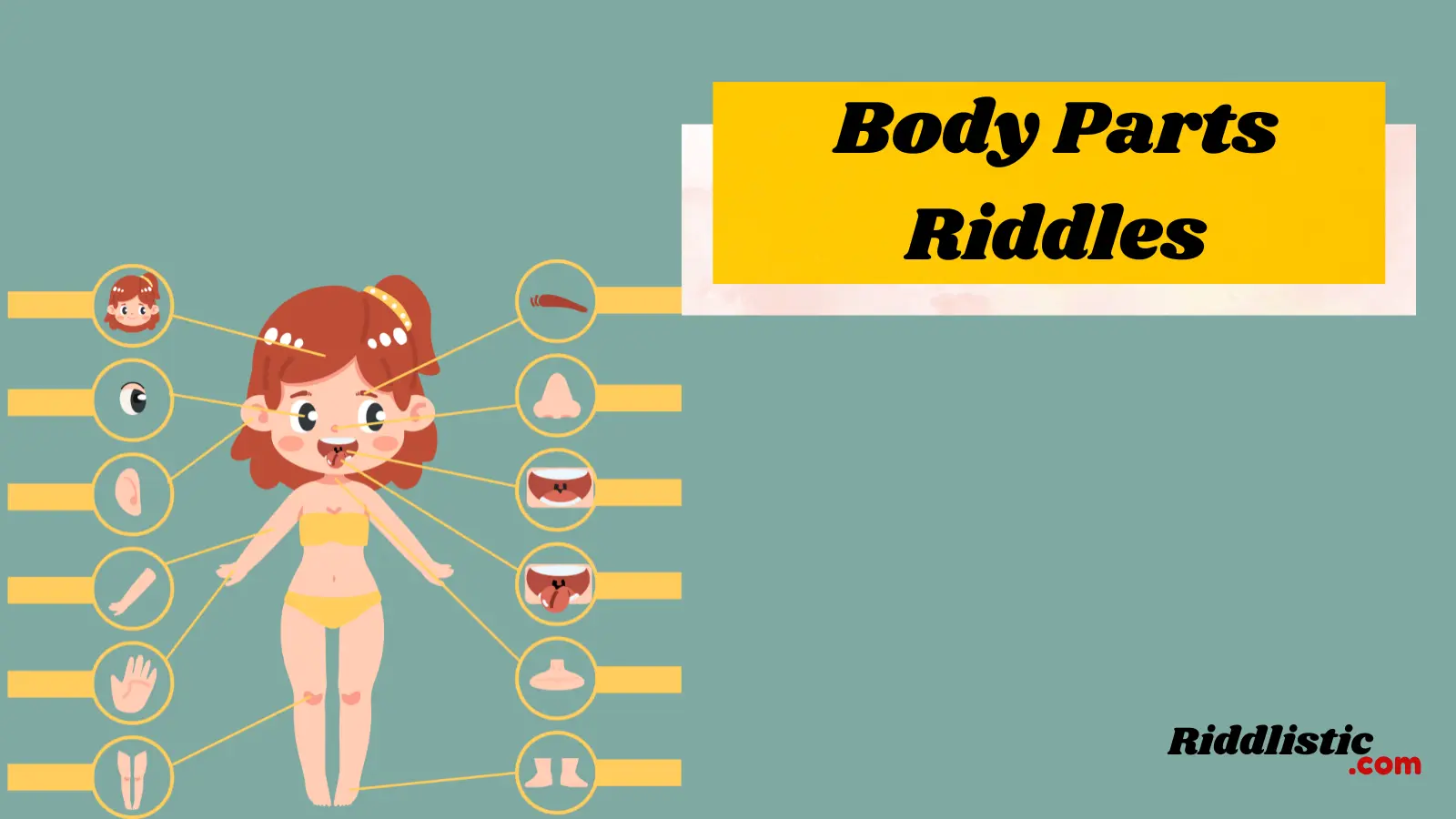 Body Parts Riddles