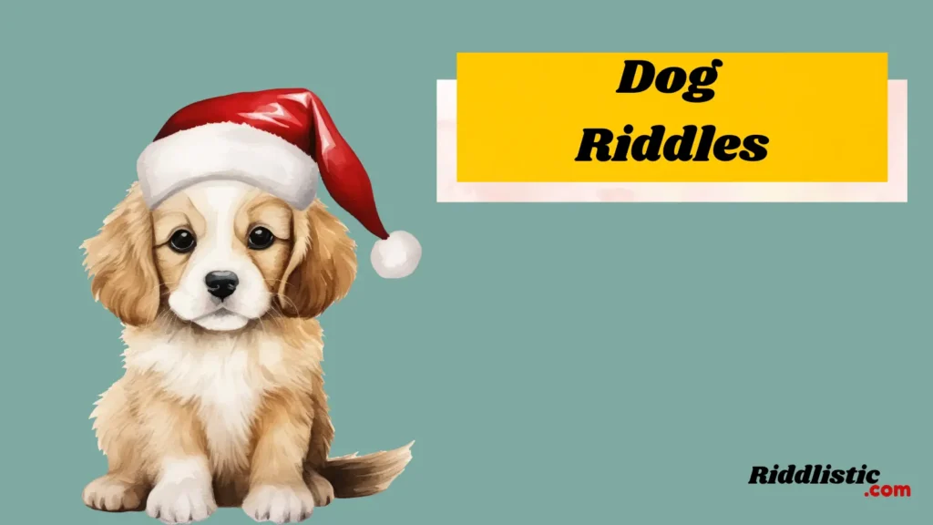 Dog Riddles