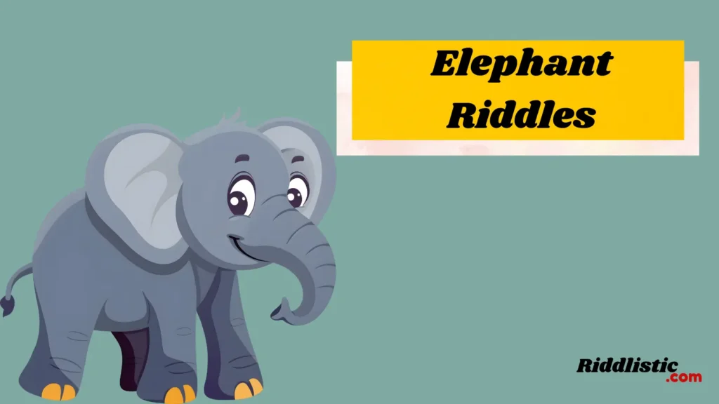 Elephant Riddles