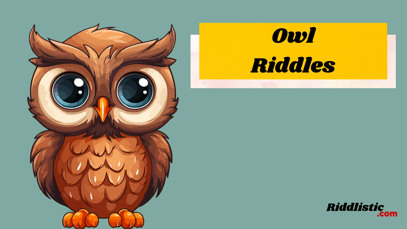 Owl Riddles
