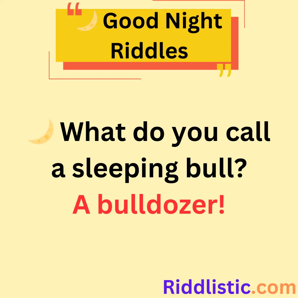 Fun Good Night Riddles for Kids