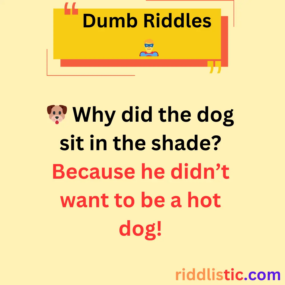 Riddles About Animals
