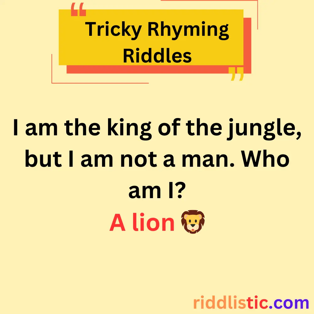 Riddles About Animals