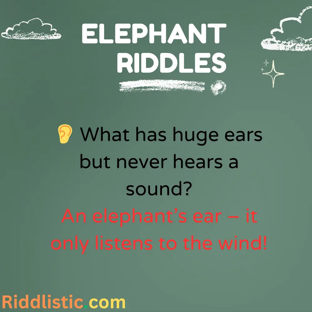 Riddles About Elephant’s Ears