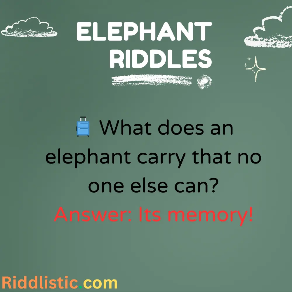 Riddles About Elephant’s Memory