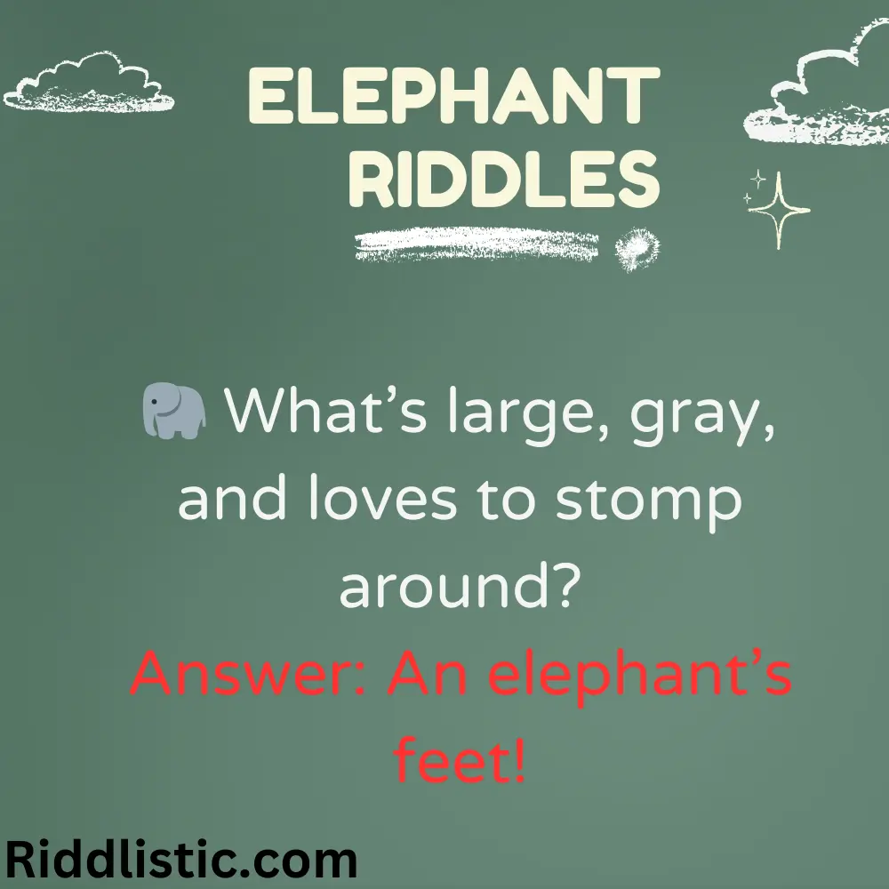 Riddles About Elephant’s Size