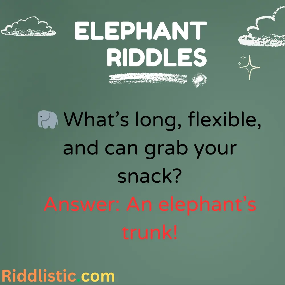 Riddles About Elephant’s Trunk