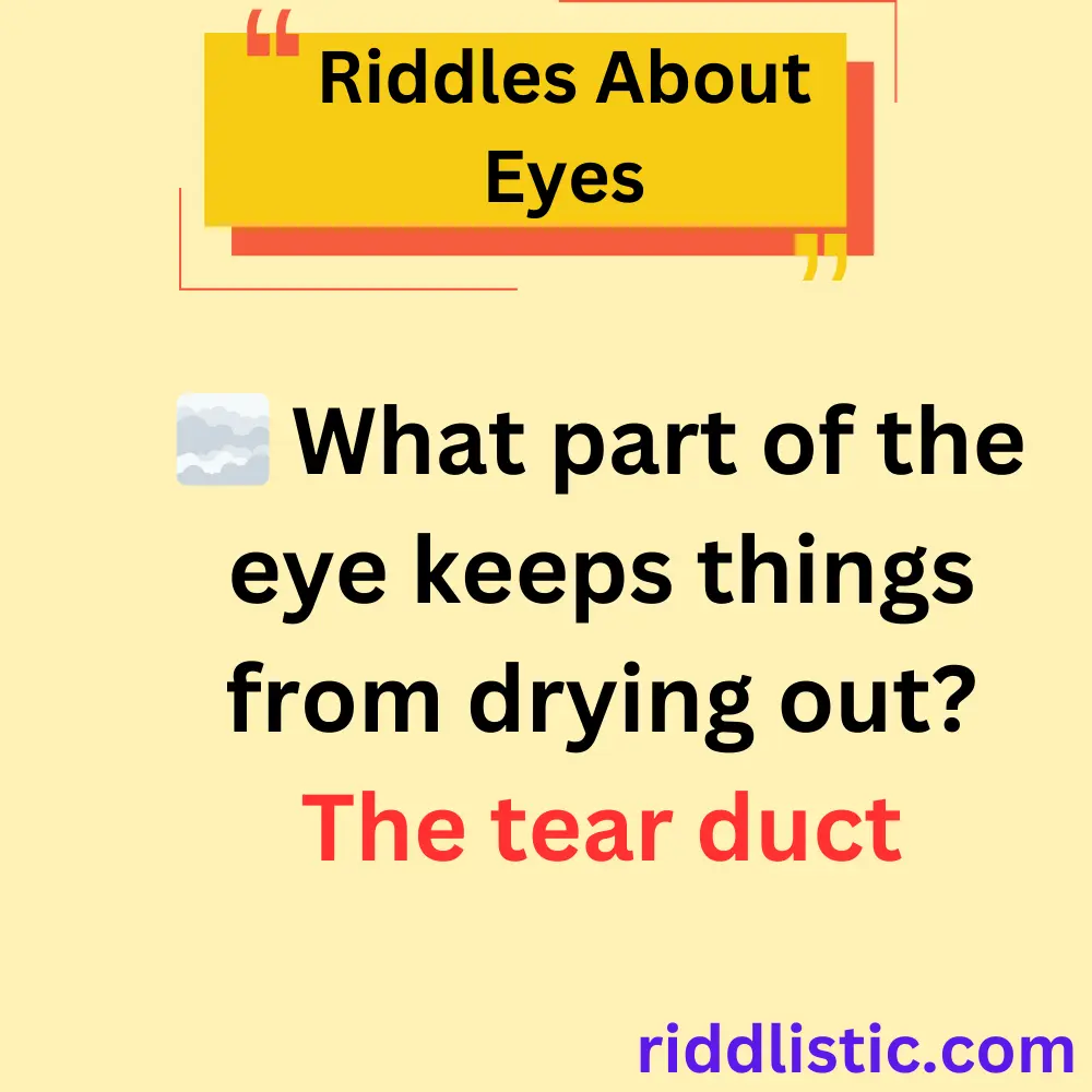 Riddles About Eyes