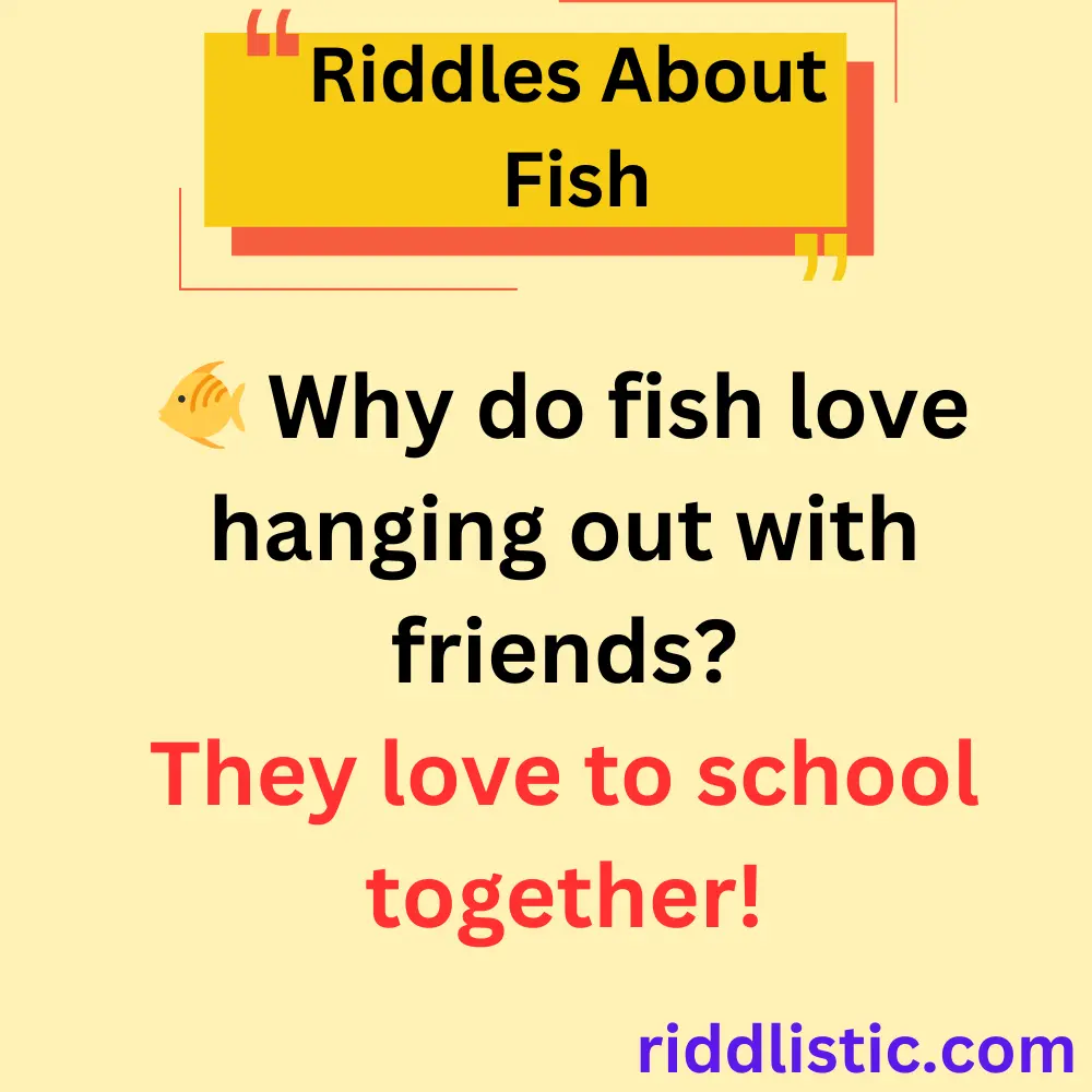 Riddles About Fish