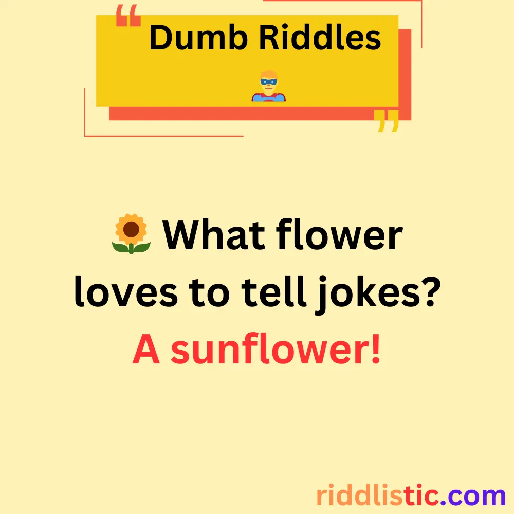 Riddles About Nature