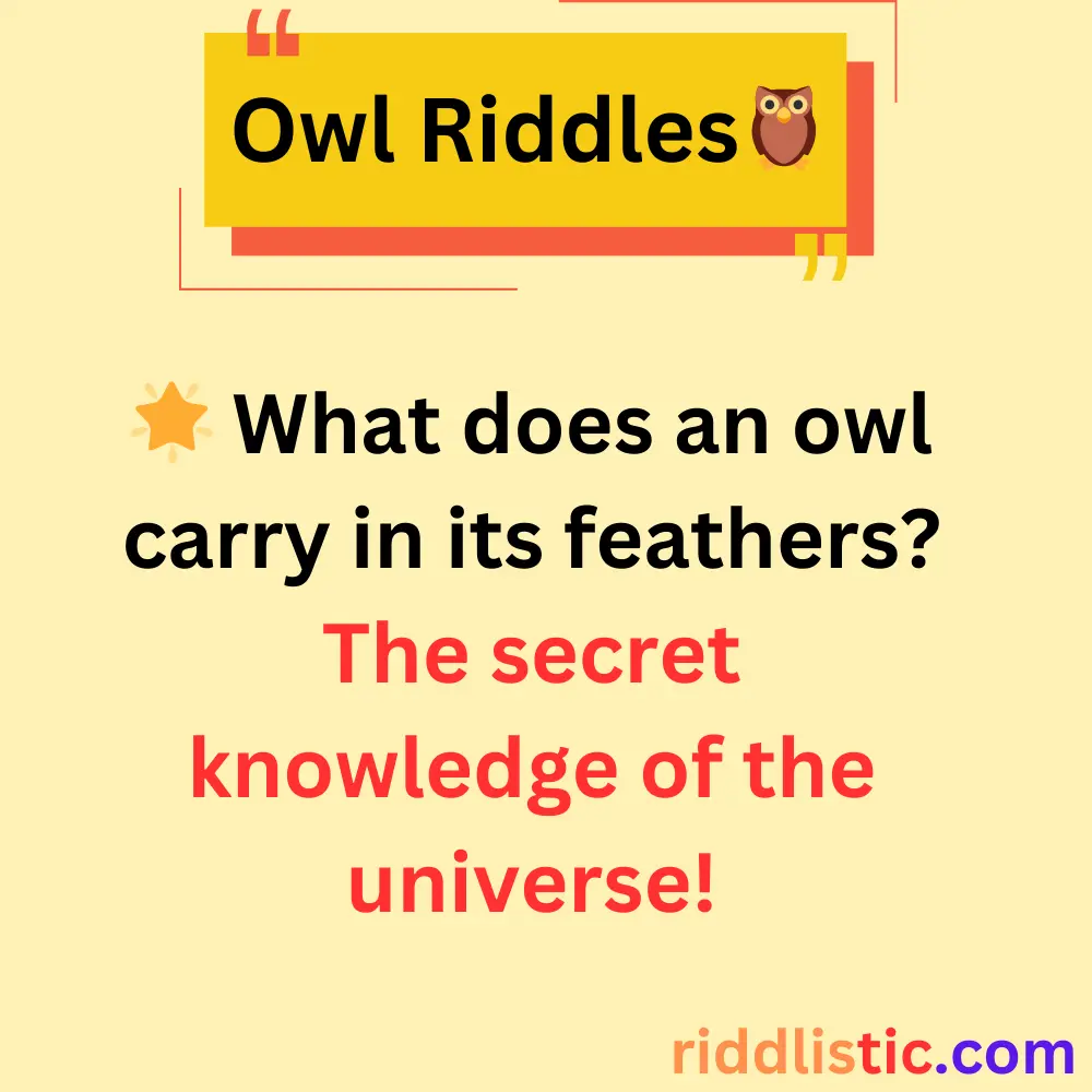 Riddles About Owls and Their Symbolism