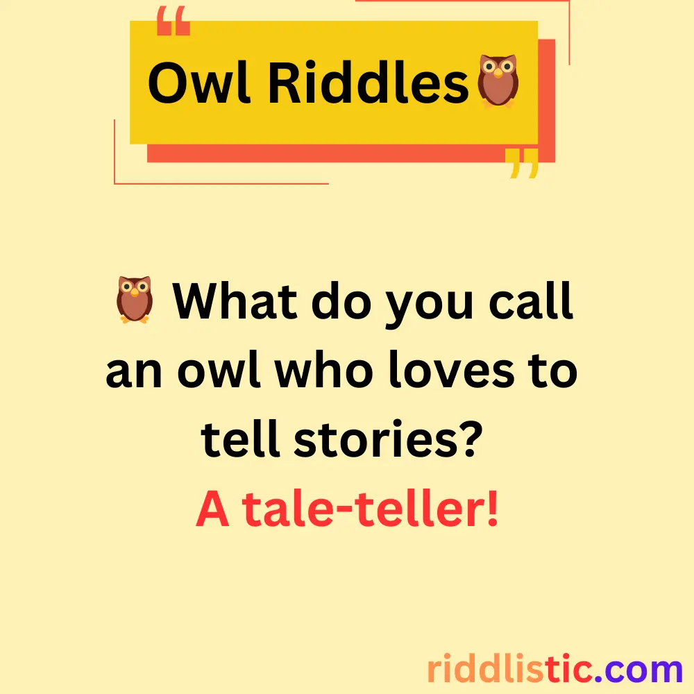 Riddles About Owls' Behavior