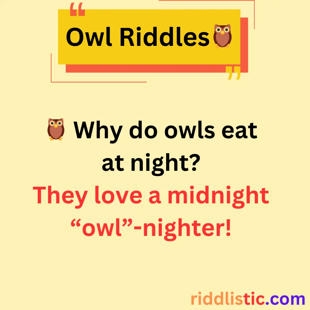 Riddles About Owls’ Diet