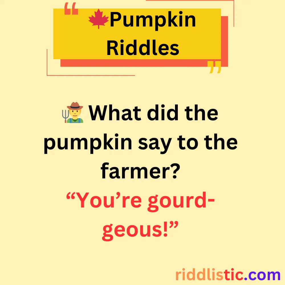 Riddles About Pumpkin Patch