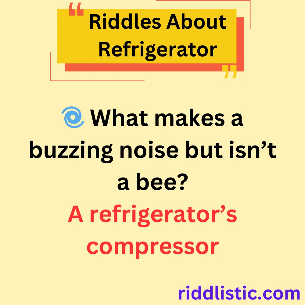 Riddles About Refrigerator