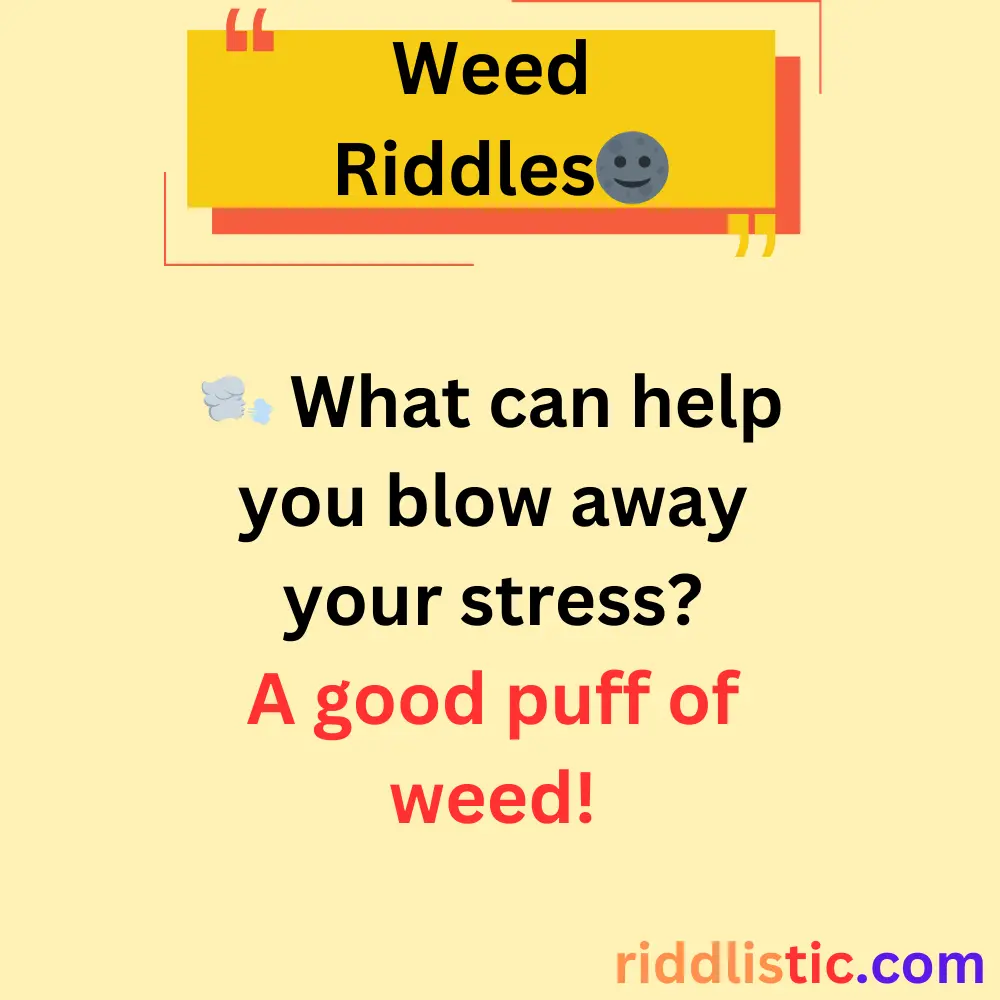 Riddles About Weed Effects