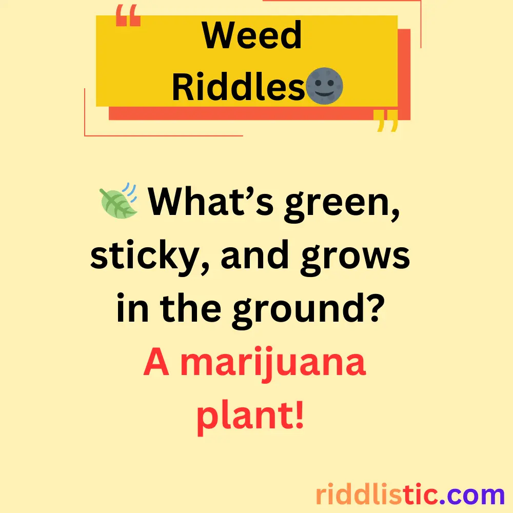 Riddles About Weed Plants