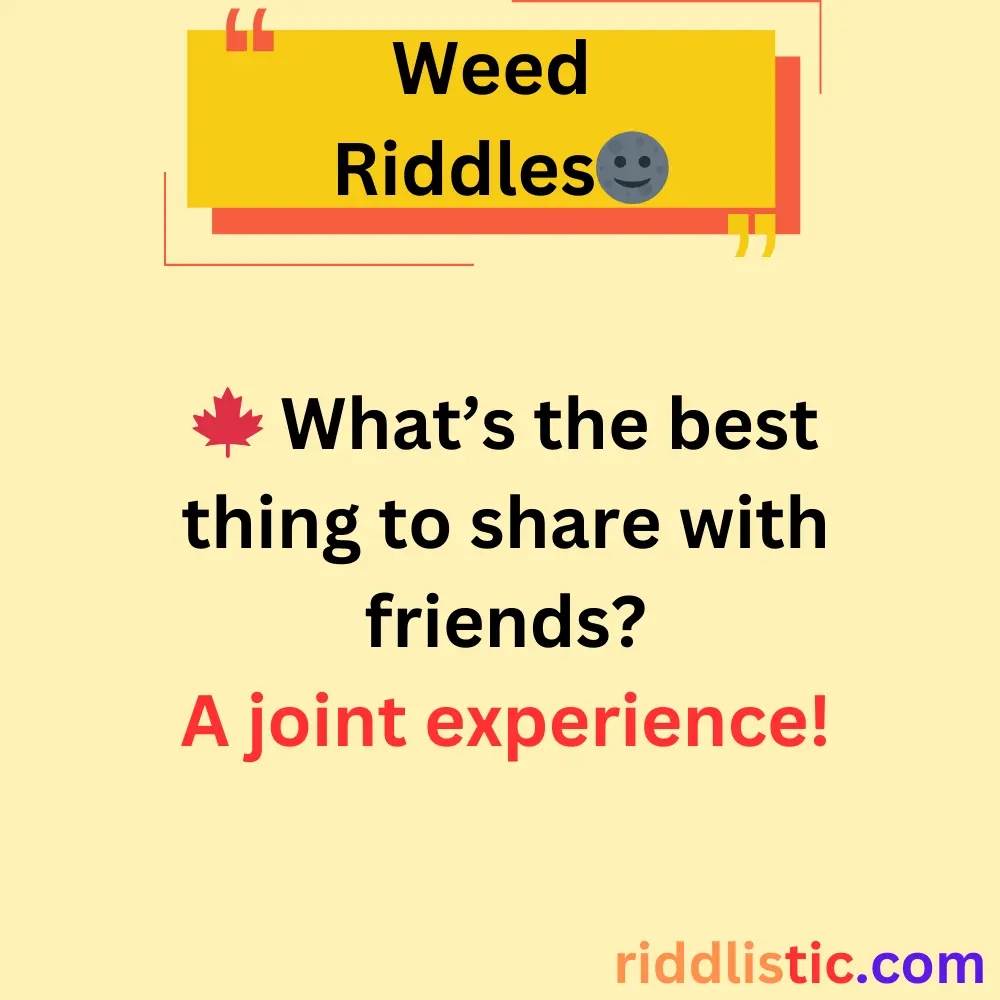 Riddles About Weed’s Popularity