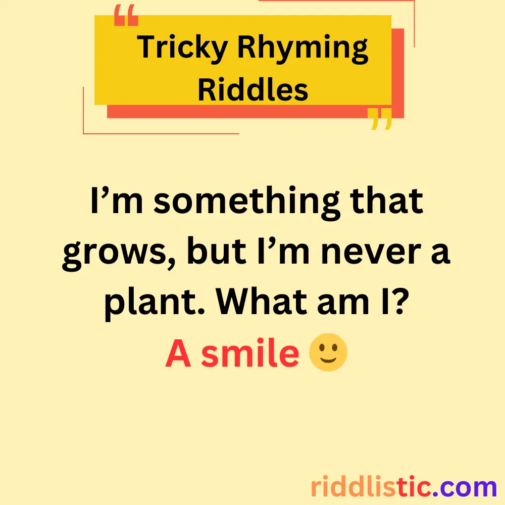 Short Rhyming Riddles