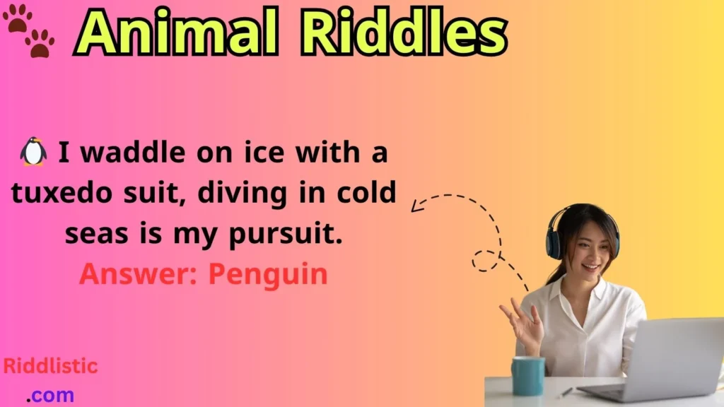 Animal Riddles