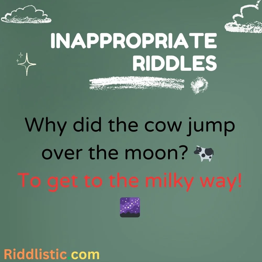 Animal Antics Riddles