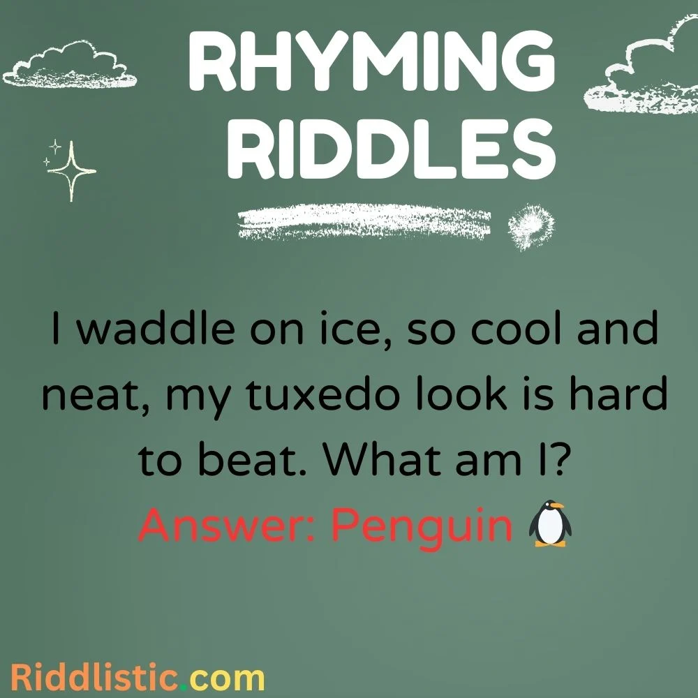 Animal Rhyming Riddles