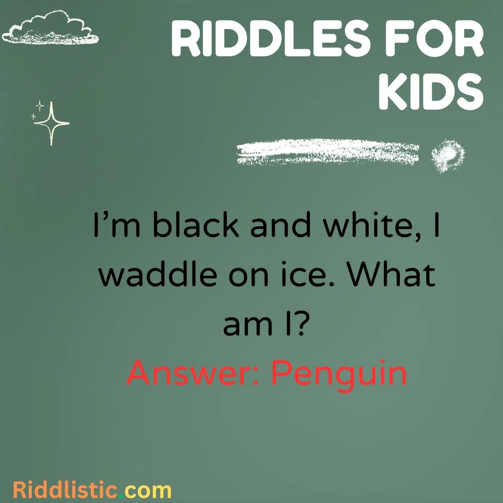 Animal Riddles