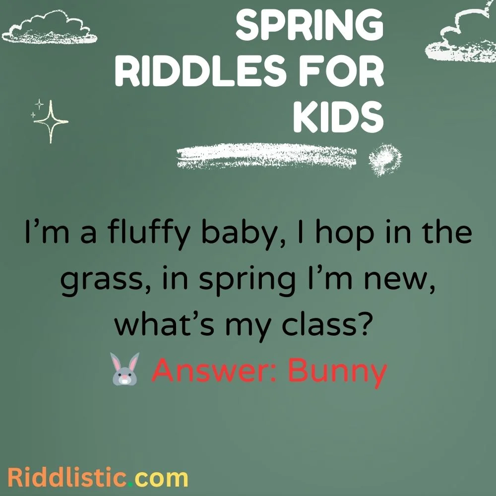 Baby Animals Riddles 