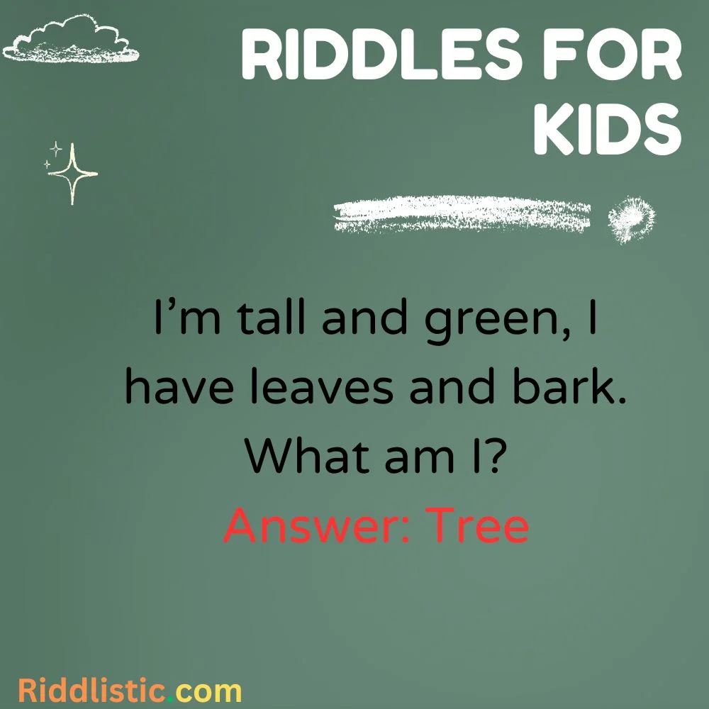 Nature Riddles