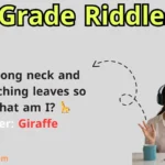 2nd Grade Riddles