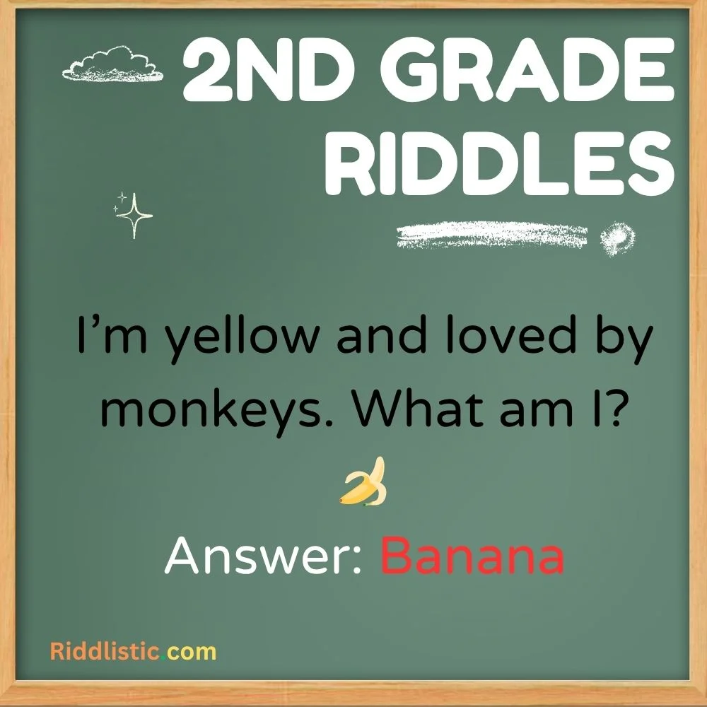 Grade Food Riddles