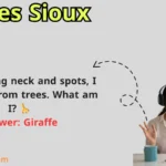 Riddles Sioux Falls