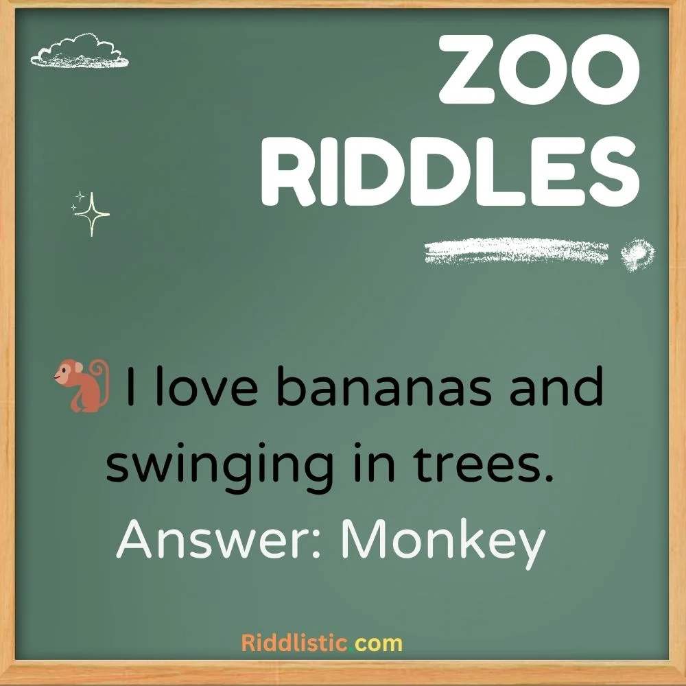 Easy Zoo Riddles for Kids