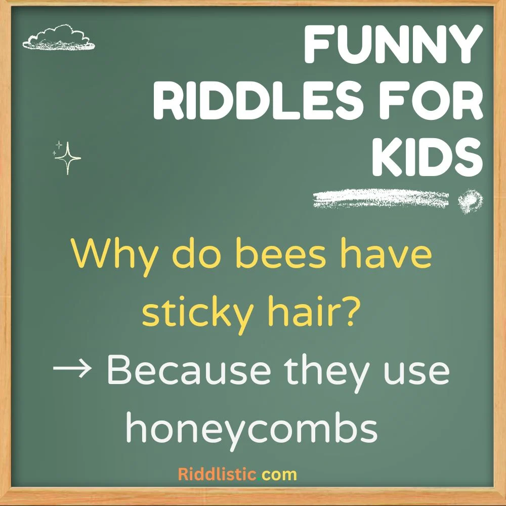 Funny Riddles for Kids with Answers