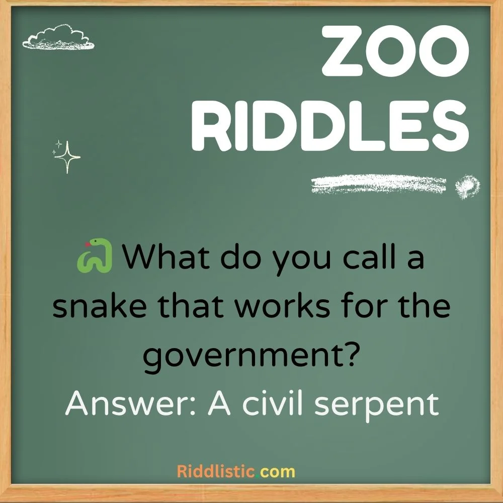 Funny Zoo Riddles