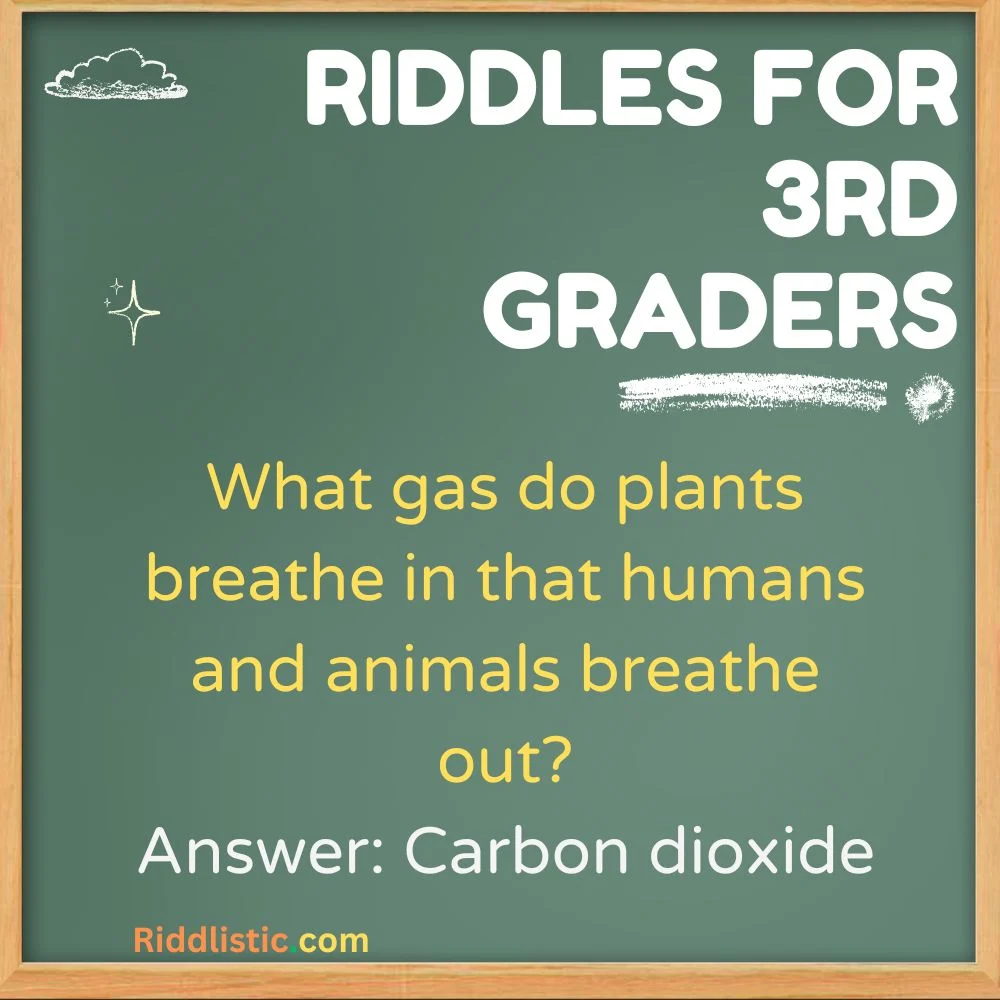 Science Riddles for 3rd Graders