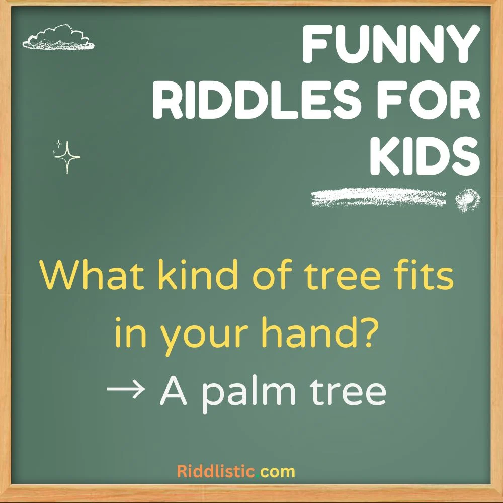 Short Funny Riddles for Kids