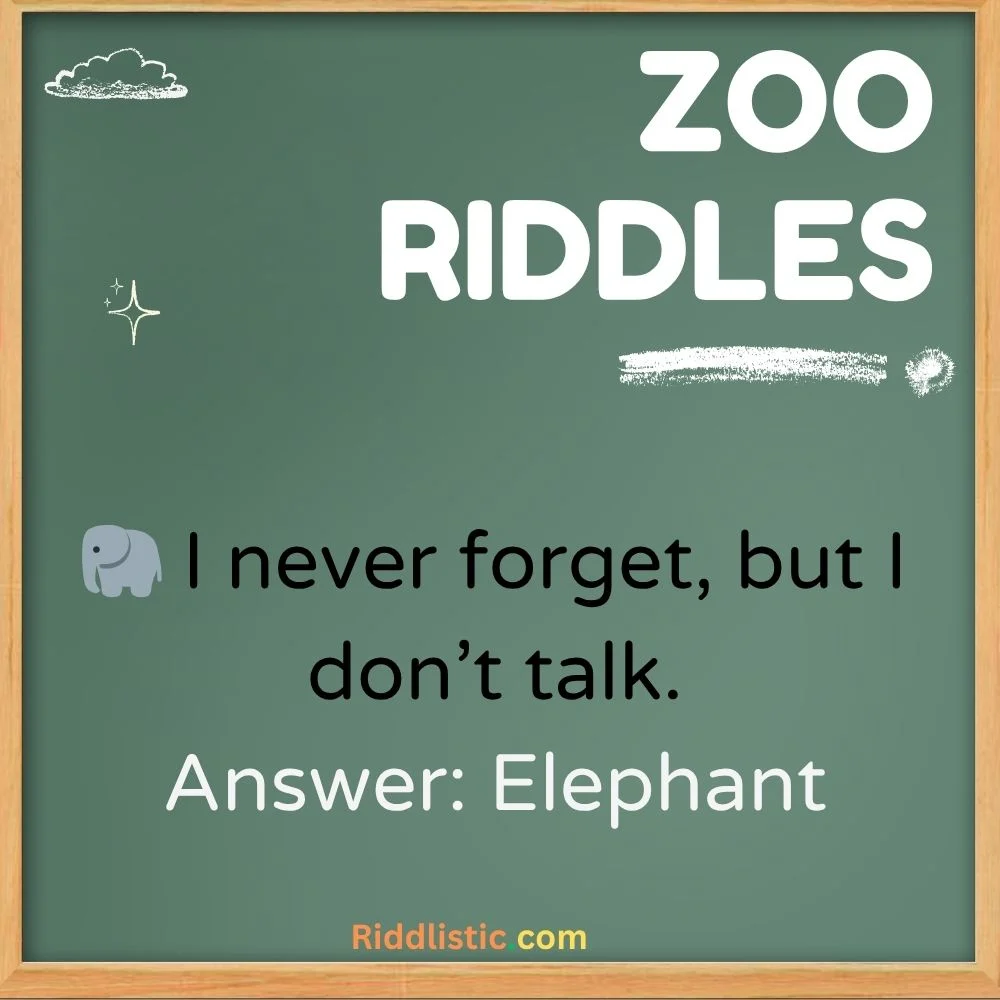 Tricky Zoo Riddles for Adults