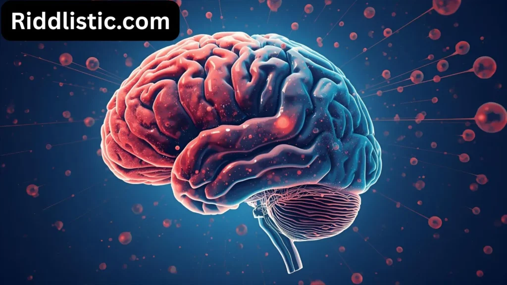 brain development riddles