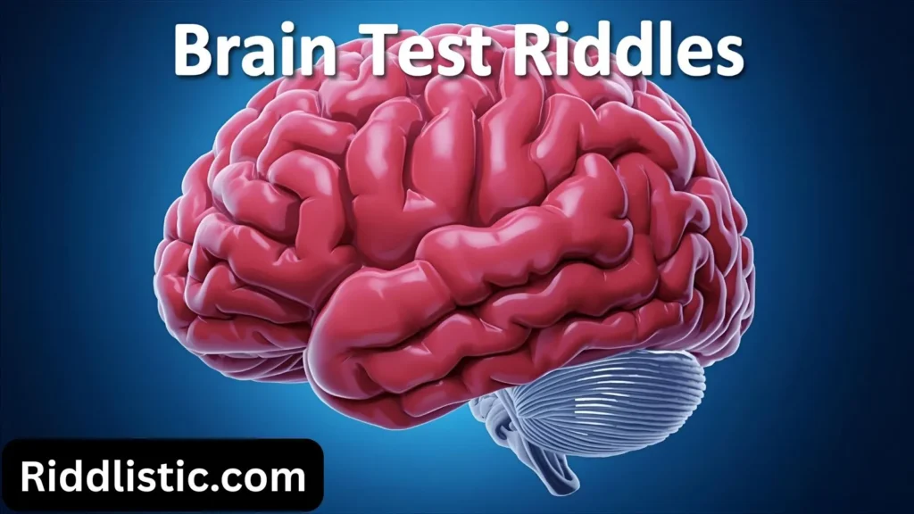 Brain Test Riddles